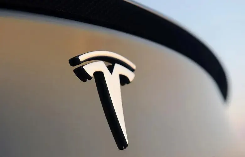 Логотип Tesla в виде буквы T на кузове автомобиля крупным планом, сверху виден тёмный спойлер